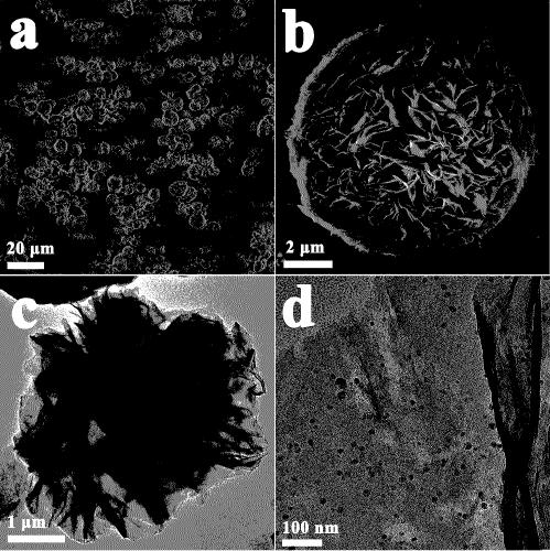 Cobalt-based petal-like composite material loaded by silver nanoparticles and preparation method and application of composite material