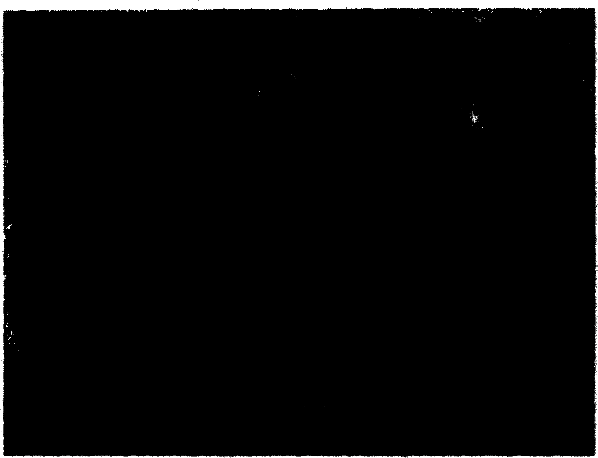 Methodc for preparing sub-micron  gemfibrozil medicament powder