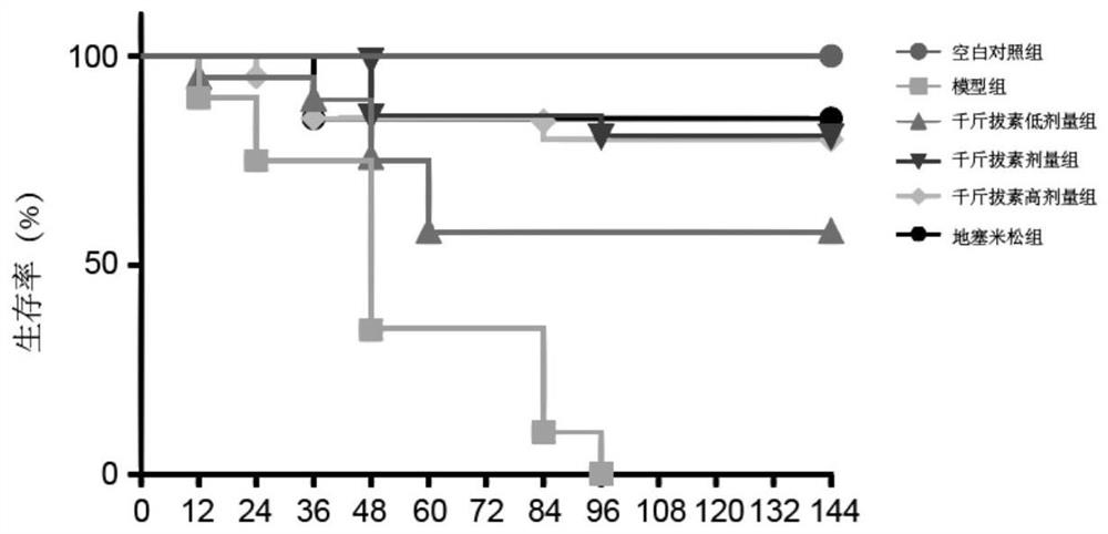 Application of philippine in preparation of medicine for treating and preventing acute pneumonia