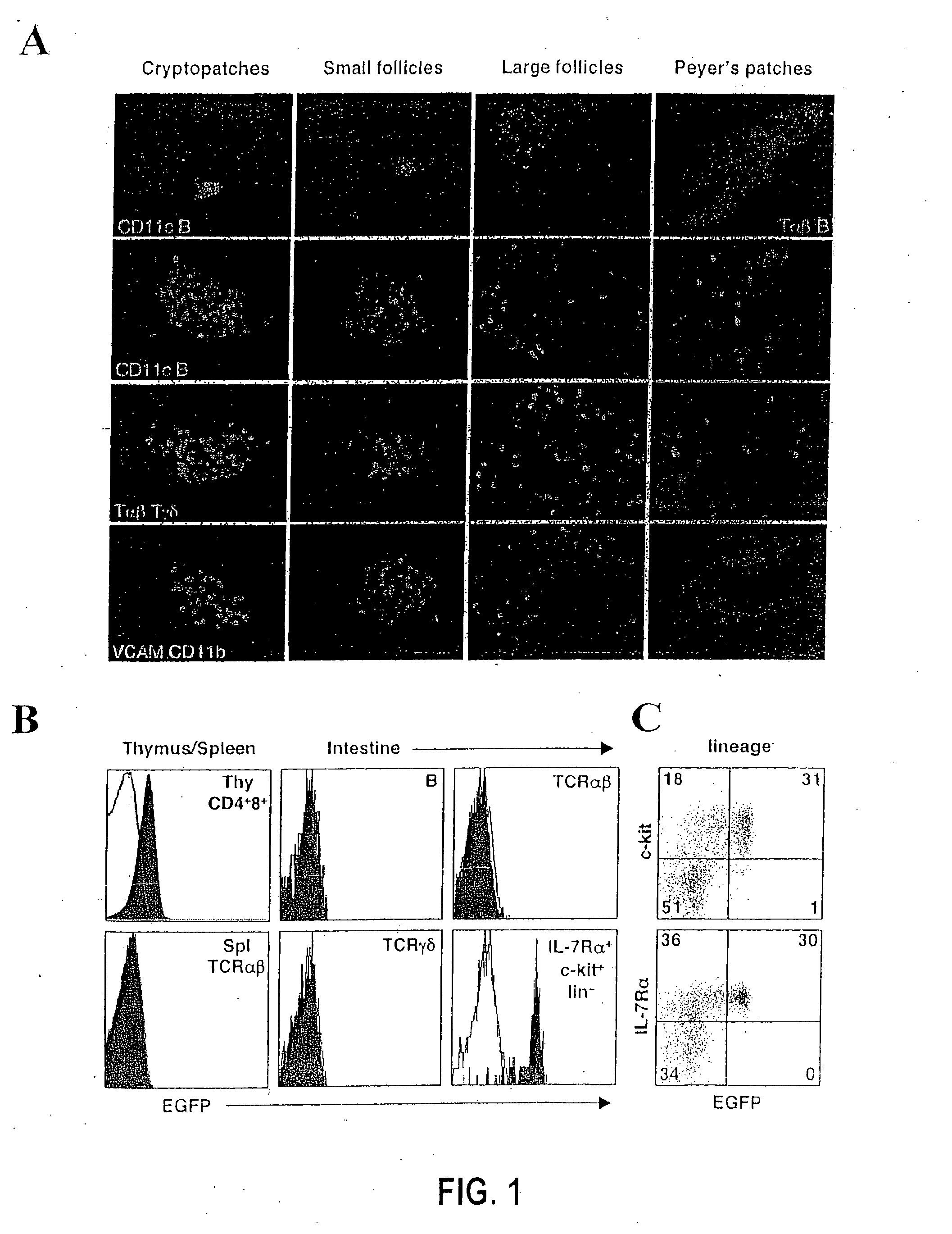 Compositions and methods for modulation of RORgammat functions