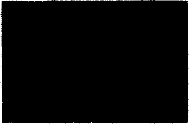 Process for preparing composite material of carbon nano tube/NiZn ferrite