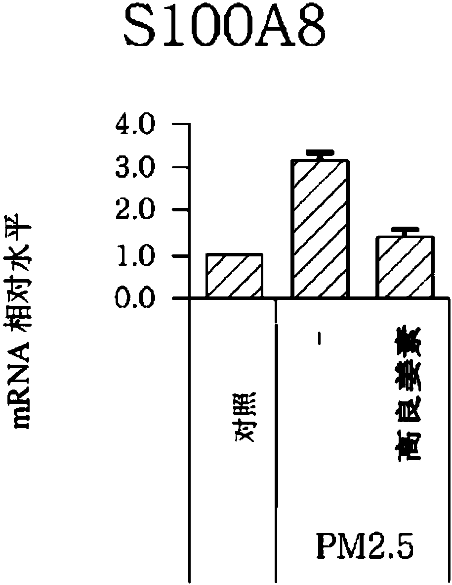 Composition For Diagnosing Skin Damage Caused By Fine Dust, And Composition Comprising Galangin As Active Ingredient