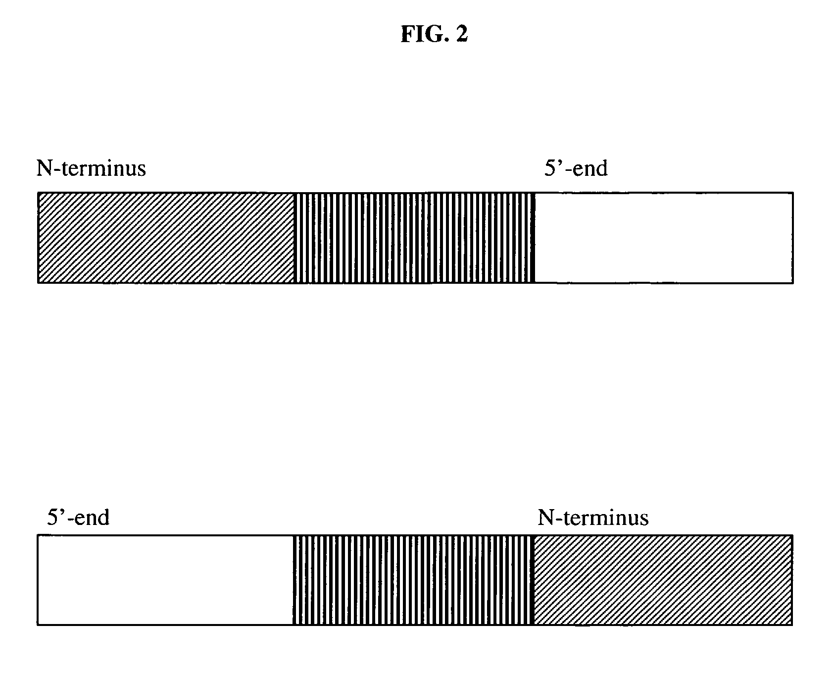 Therapeutic compositions and methods of using same