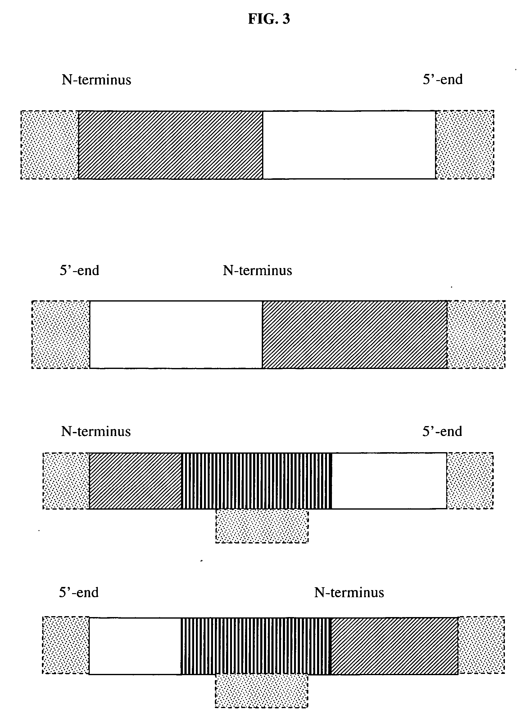 Therapeutic compositions and methods of using same