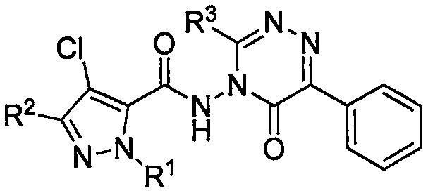Preparation method and application of 5-pyrazol amide compound having triazinone structure