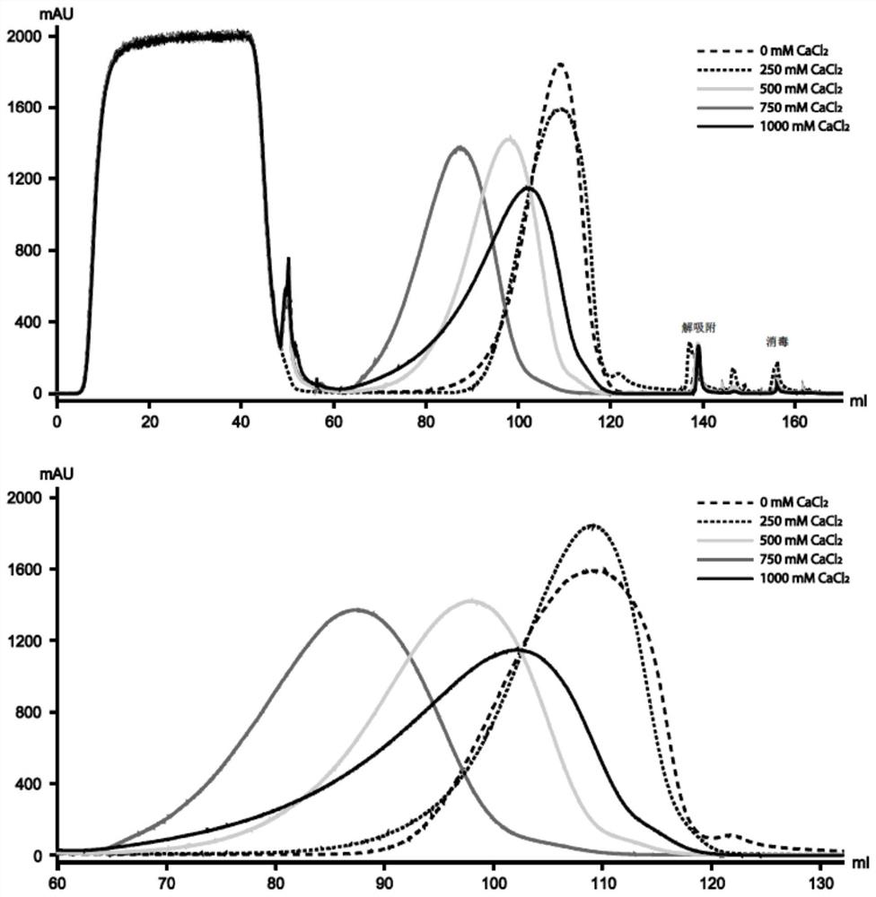 A method for improving aggregate removal by protein a chromatography