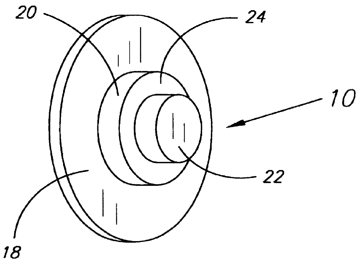 Compact disk locking device