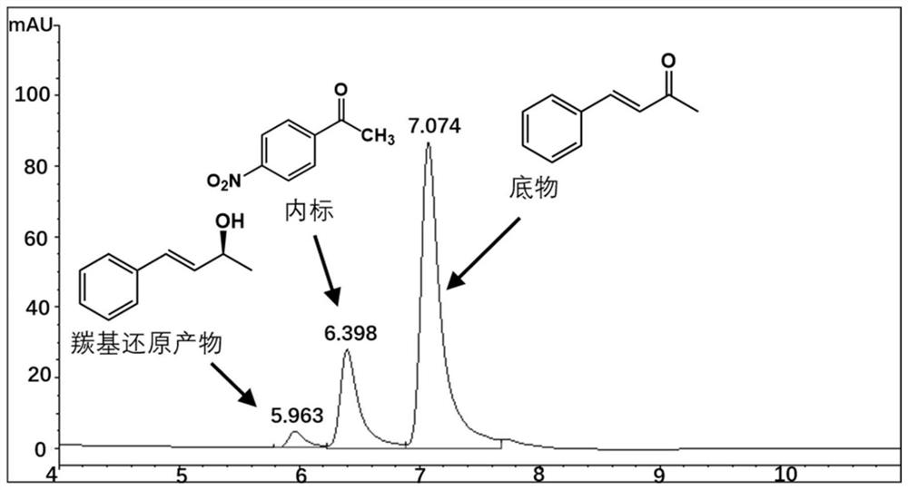 Perakine reductase mutant and application thereof