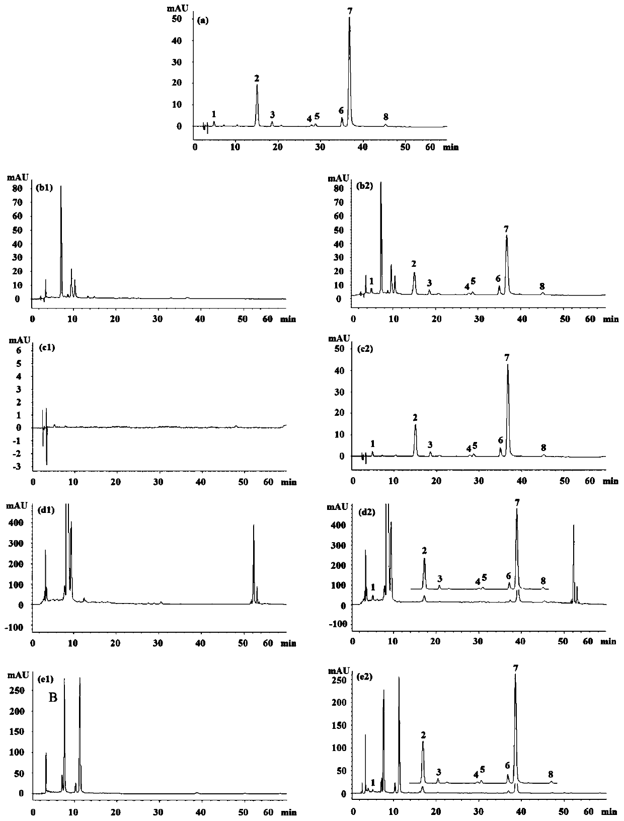 Anthocyanin composition with good stability