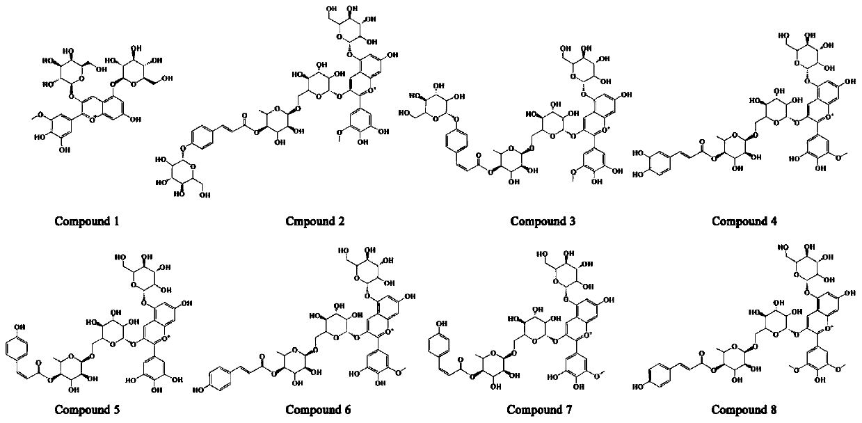 Anthocyanin composition with good stability