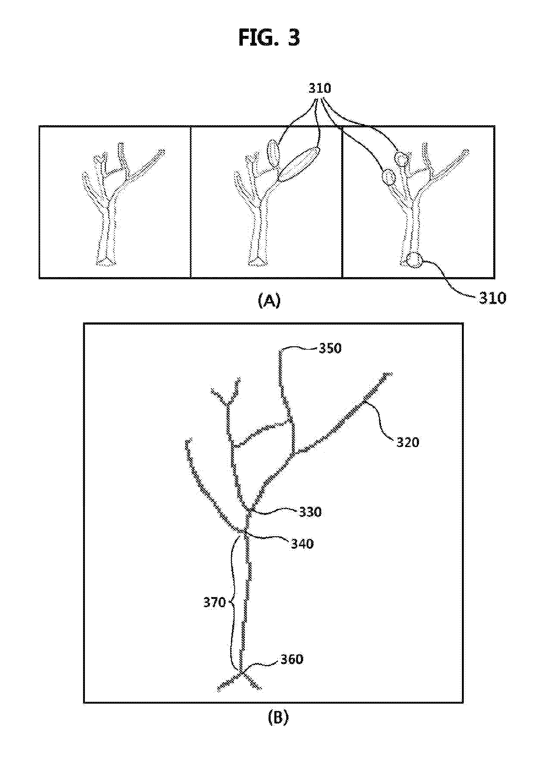 Tree model and forest model generating method and apparatus