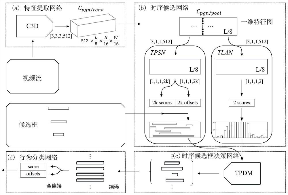 Video behavior detection method and device, video behavior response method and device, equipment and medium