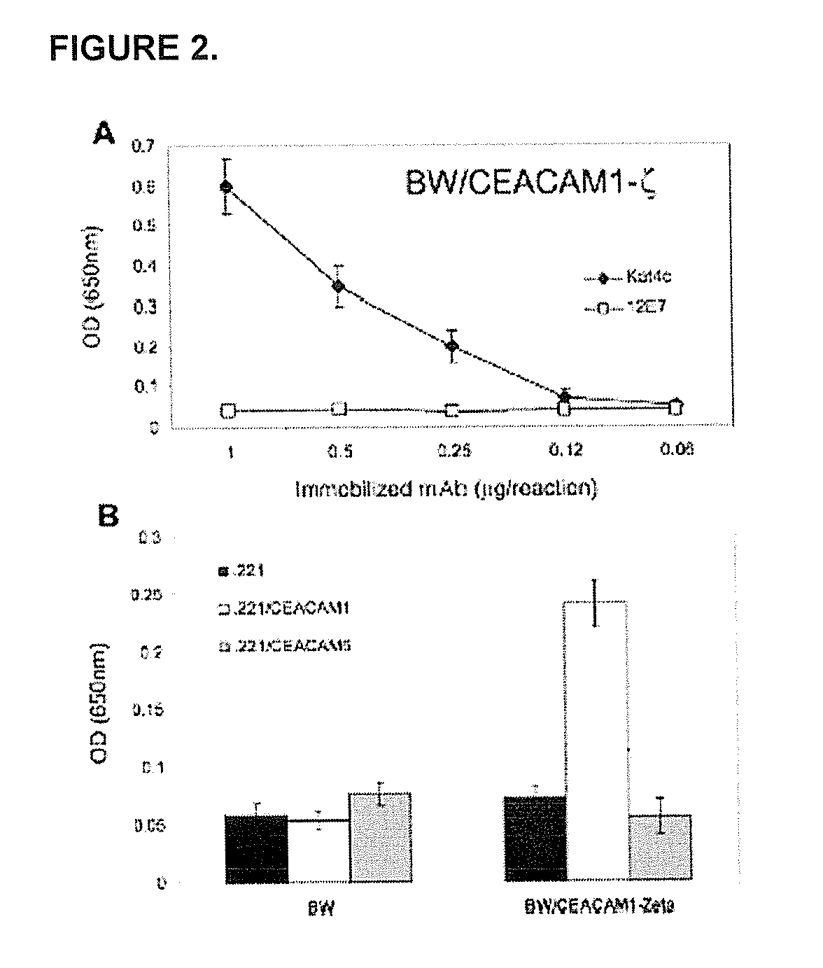 Modulation of Immunity and Ceacam1 Activity