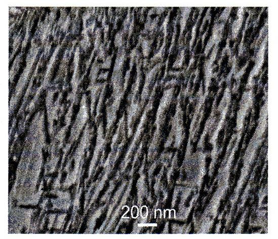 Nanostructure carbide-free bainite medium-carbon alloy steel and preparation method