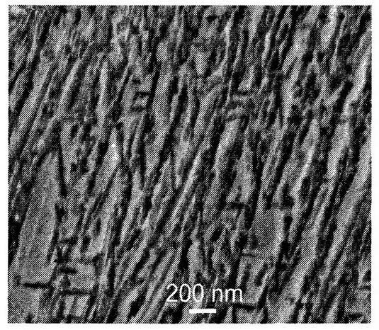 Nanostructure carbide-free bainite medium-carbon alloy steel and preparation method