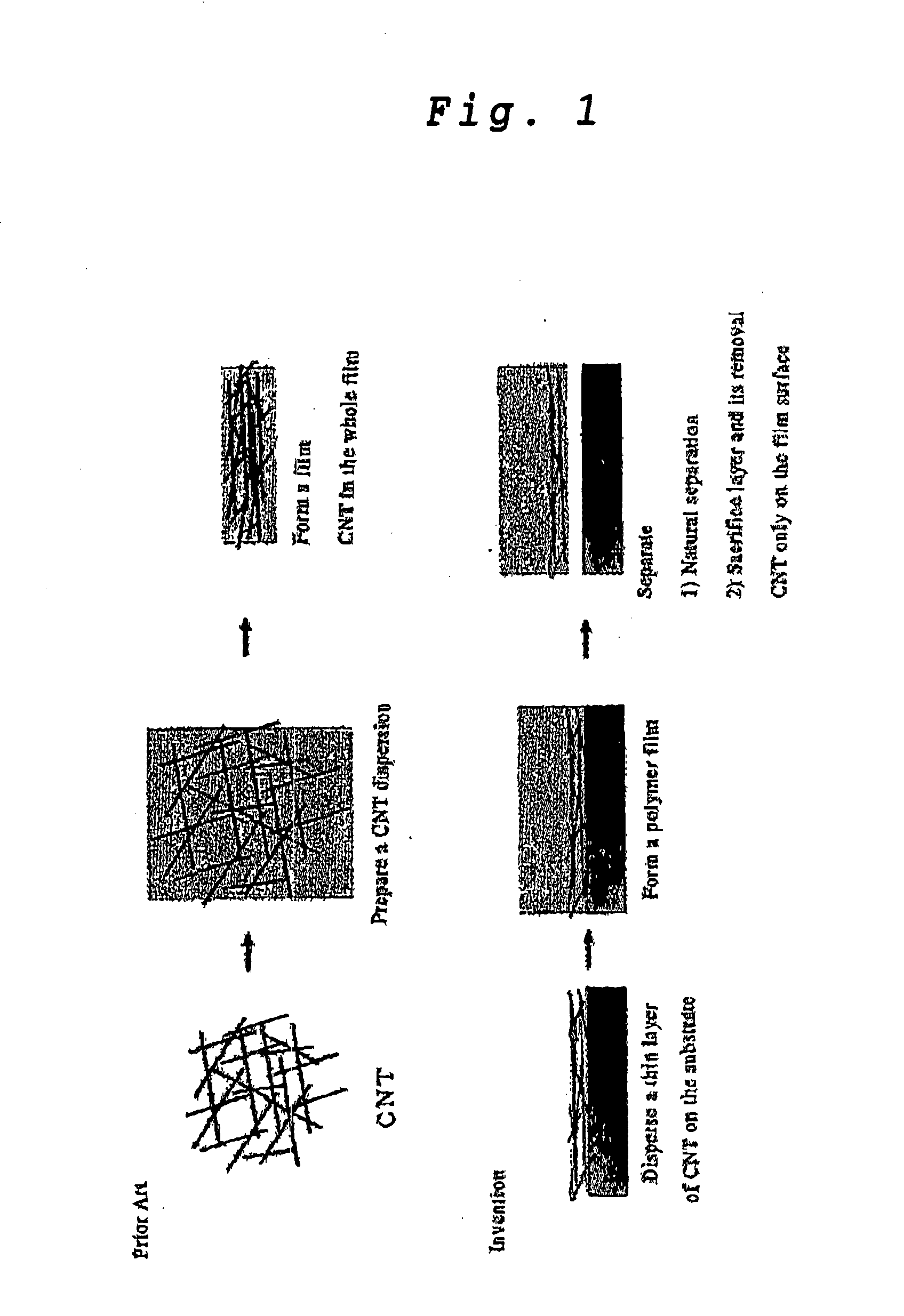 Transparent Conductive Carbon Nanotube Film and a Method for Producing the Same