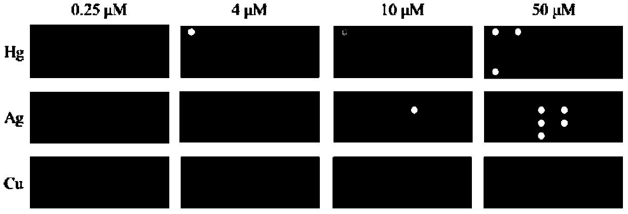 Array sensor used for detecting heavy metal ions as well as preparation method and application thereof