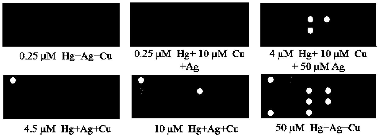 Array sensor used for detecting heavy metal ions as well as preparation method and application thereof