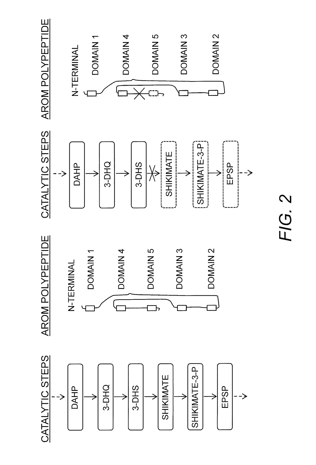 Compositions and methods for the biosynthesis of vanillan or vanillin beta-D-glucoside