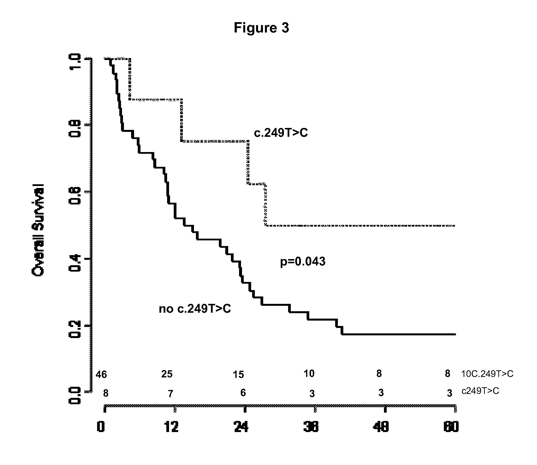 Ca9 gene single nucleotide polymorphisms predict prognosis and treatment response of metastatic renal cell carcinoma