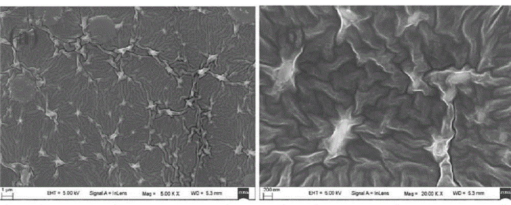 Three-dimensional crosslinked network polymer gel electrolyte membrane, preparation method and lithium-ion battery