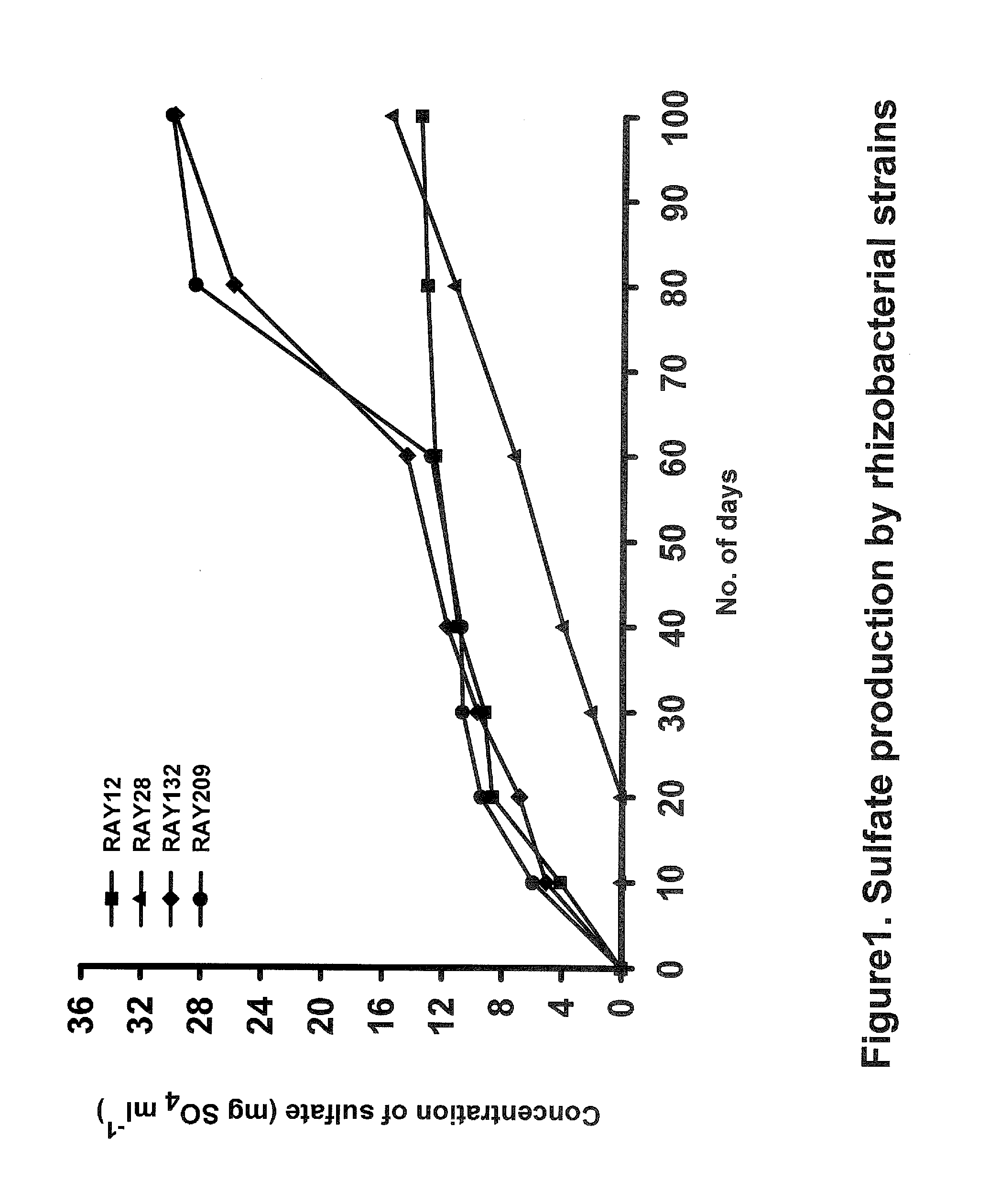 Sulfur-oxidizing plant growth promoting rhizobacteria for enhanced canola performance