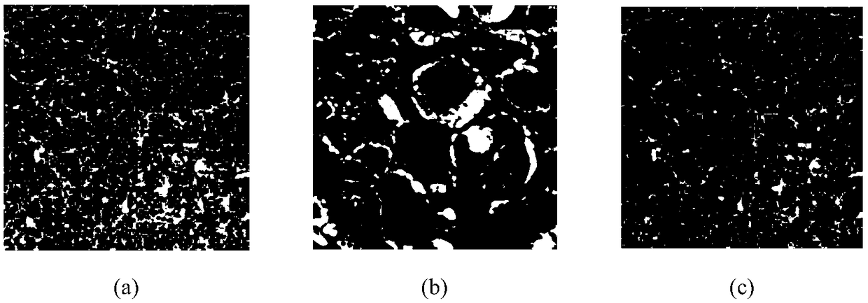 Method for color standardization of pathological image based on low rank embedded non-negative matrix decomposition