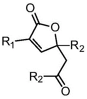 Preparation method of alpha, beta-unsaturated butyrolactone from keto acid and alkyne