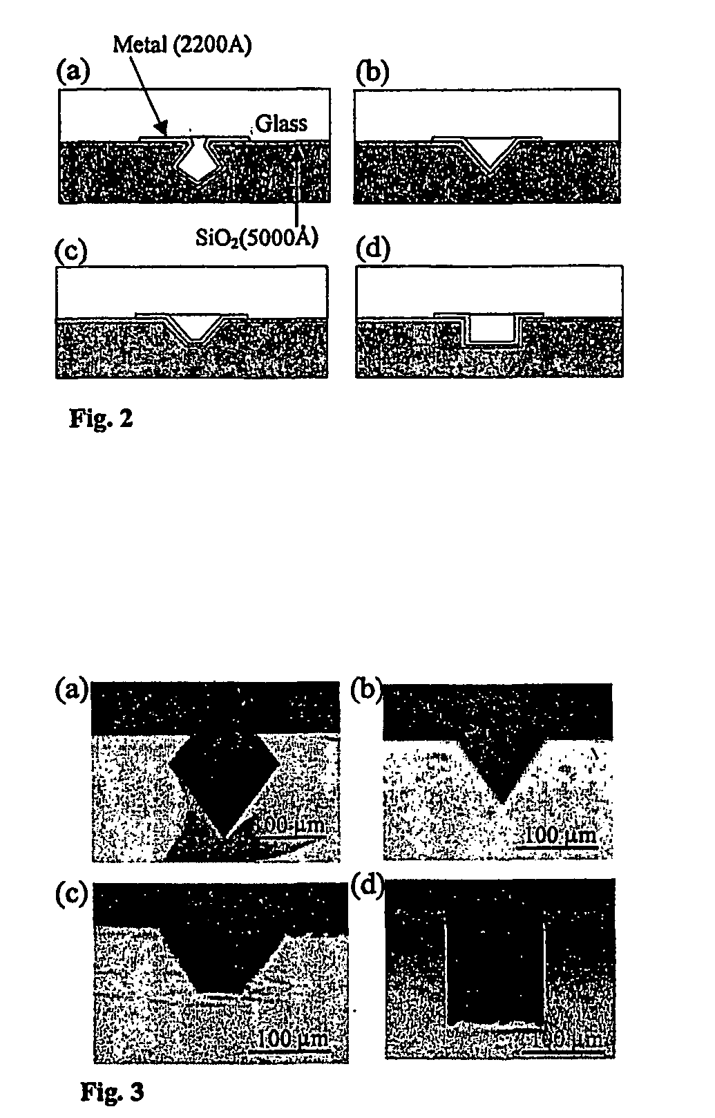 Biosensors and methods for their use