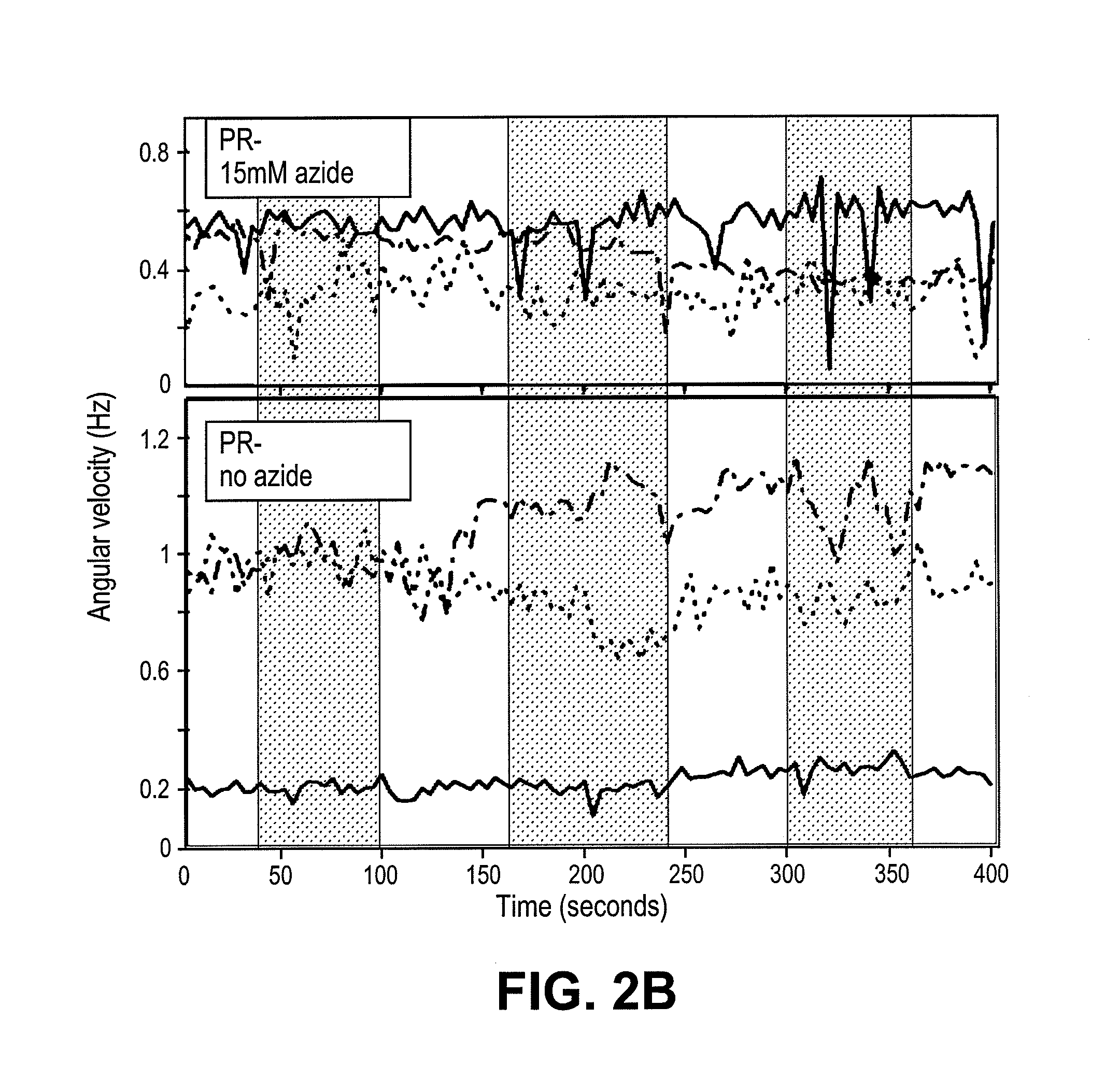 Cells with non-natural physiologies derived by expressing light-powered proton pumps in one or more membranes