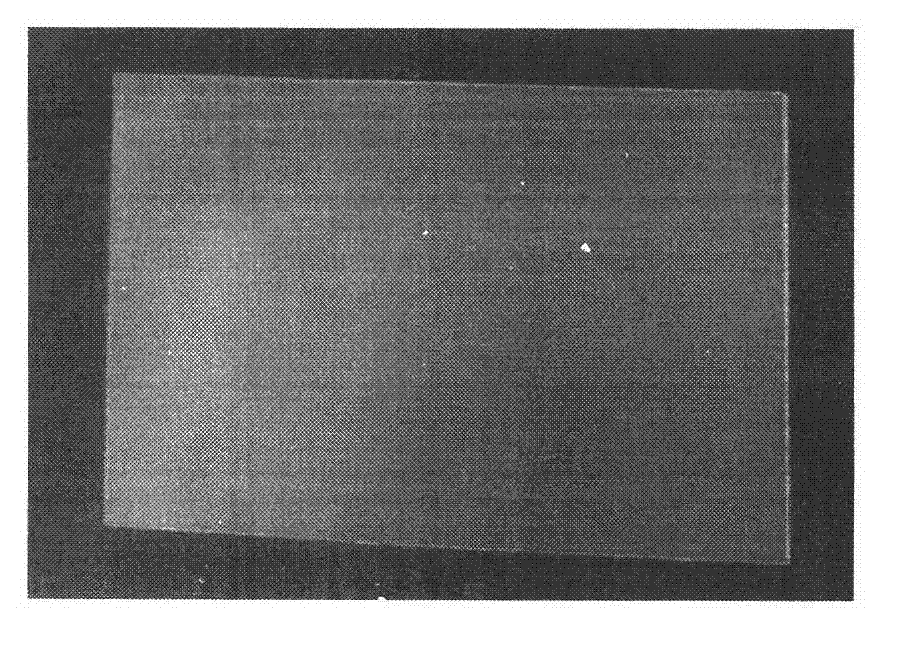 Biological membrane which promotes healing and preparation method thereof