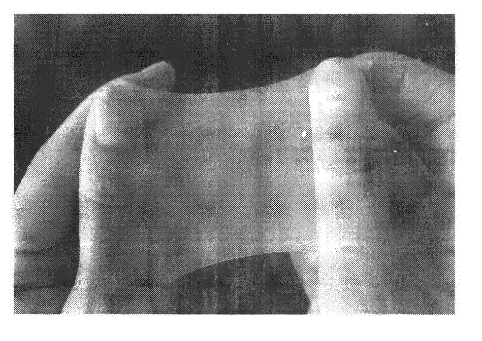 Biological membrane which promotes healing and preparation method thereof