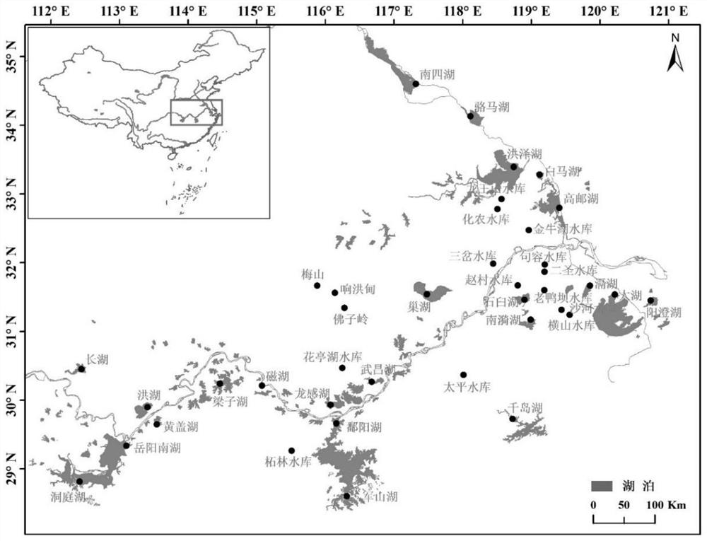 Treatment method based on lake nutritive salt classification