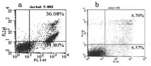 Death receptor-5 agitated polyvalent antibody and application thereof in preparation of anti-tumor medicines