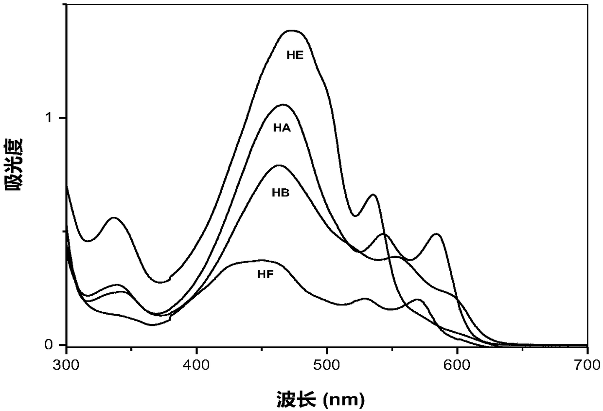 Hypocrellin derivatives, and preparation method and application thereof