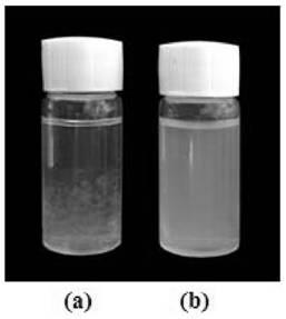A kind of sodium polyacrylate/nanocellulose crystal composite superabsorbent resin and its preparation method
