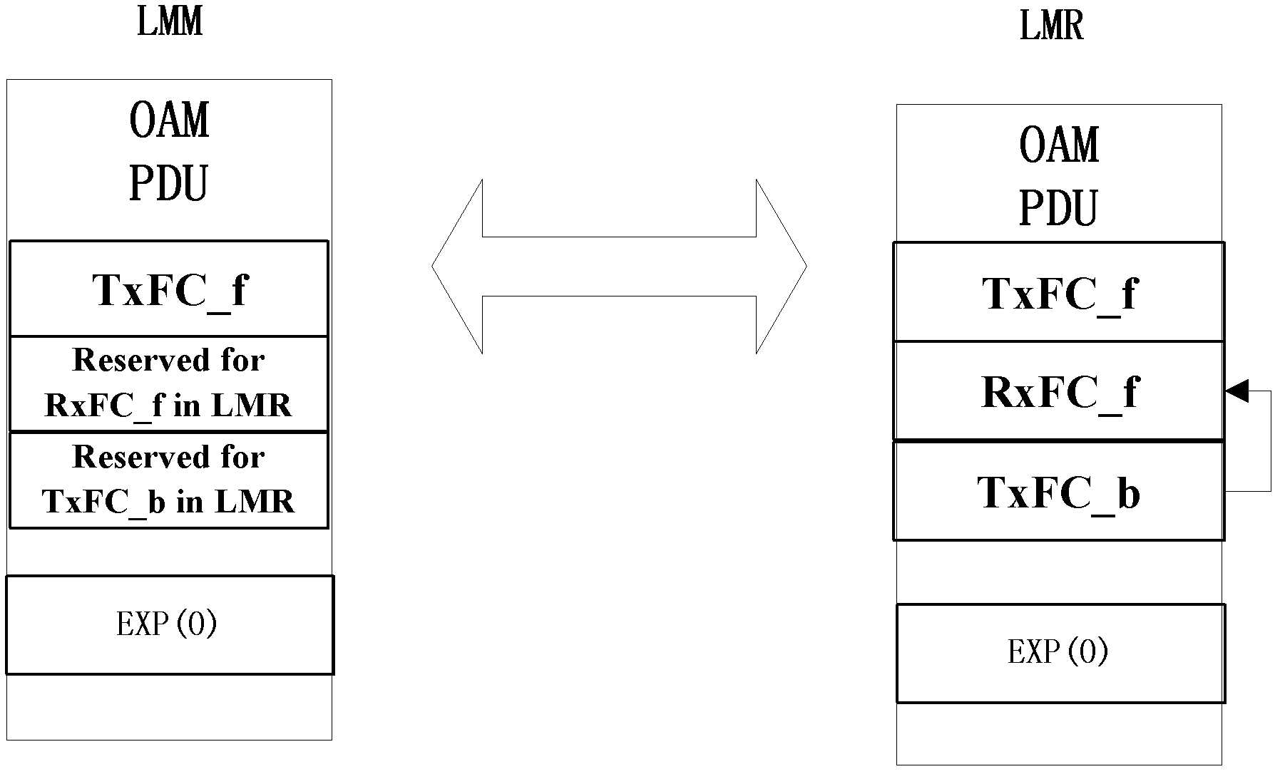 Method and system for detecting packet loss rate in packet transport network