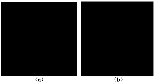 Radiation biological dosimeter, preparation method and application thereof