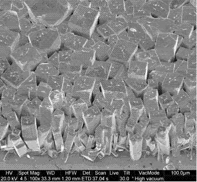 Preparation method for gold-palladium electrode of polycrystalline mercury iodide detector