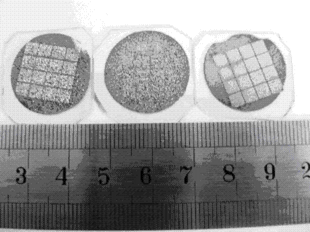 Preparation method for gold-palladium electrode of polycrystalline mercury iodide detector