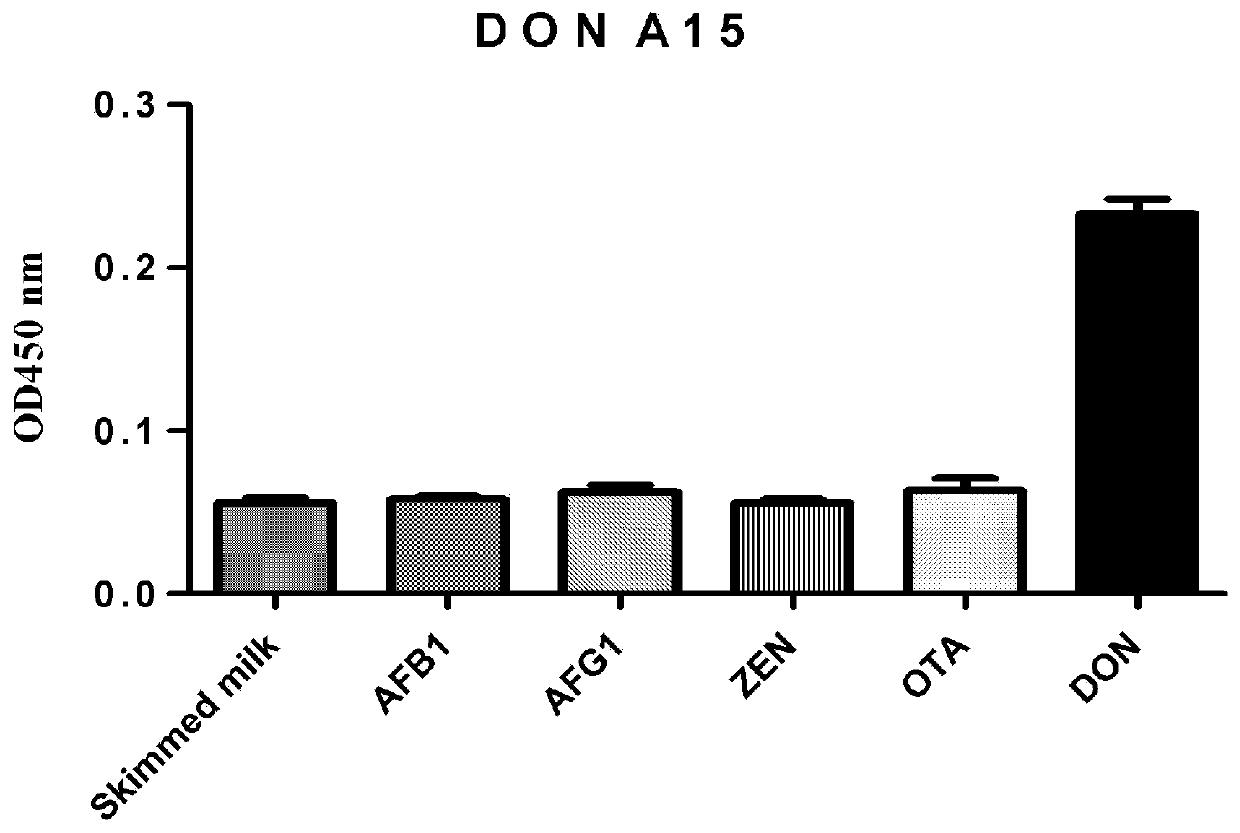Nucleic acid aptamer specifically bound with vomitoxin, preparation method and application