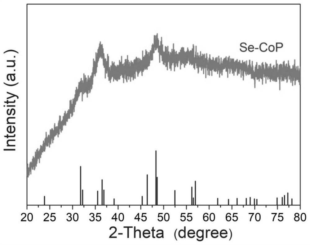 Method for preparing cobalt-based nanosheet self-supporting electrode from selenium-containing ligand and application of cobalt-based nanosheet self-supporting electrode