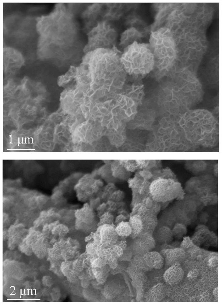 Method for preparing cobalt-based nanosheet self-supporting electrode from selenium-containing ligand and application of cobalt-based nanosheet self-supporting electrode