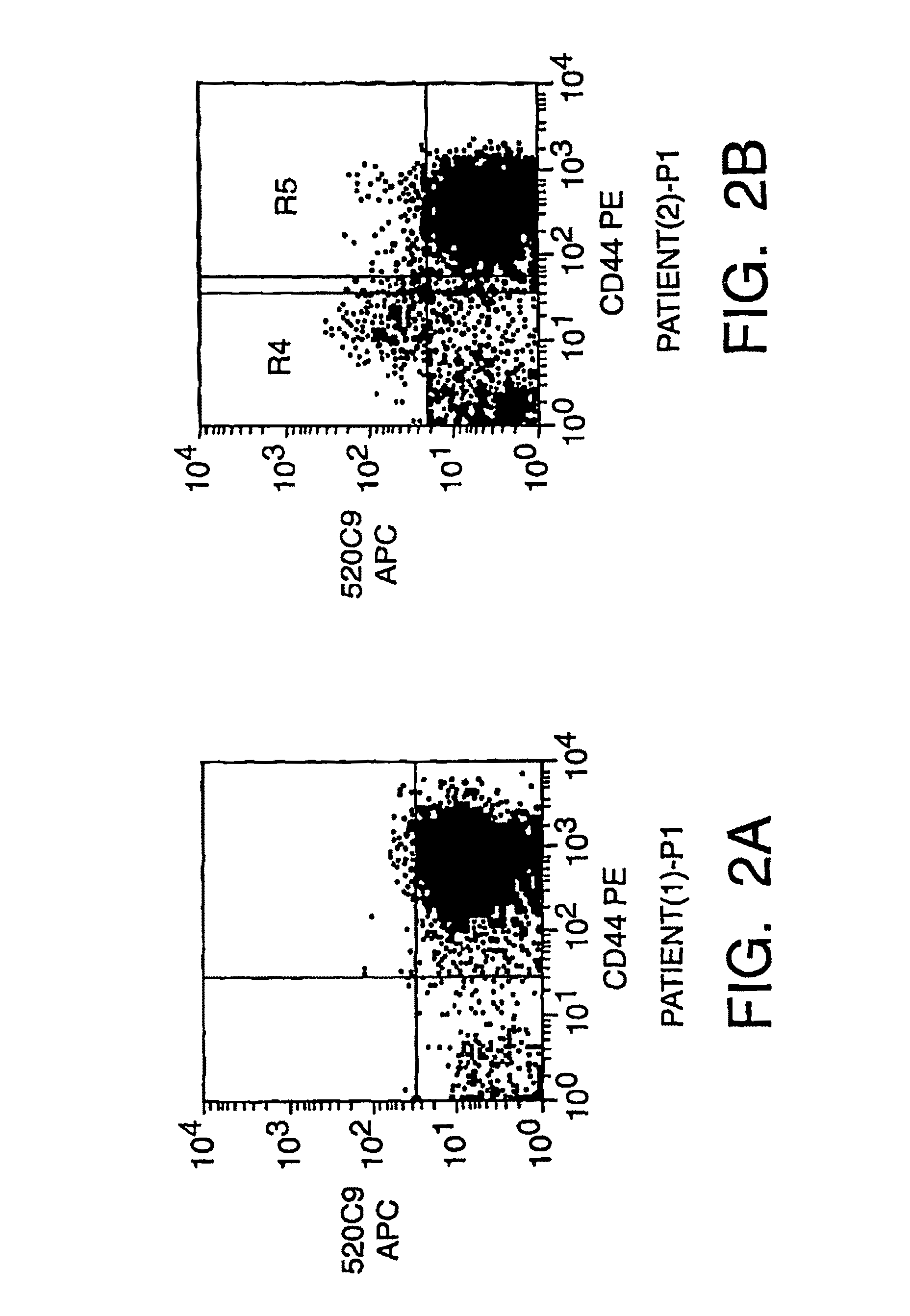 Determining the capability of a test compound to affect solid tumor stem cells