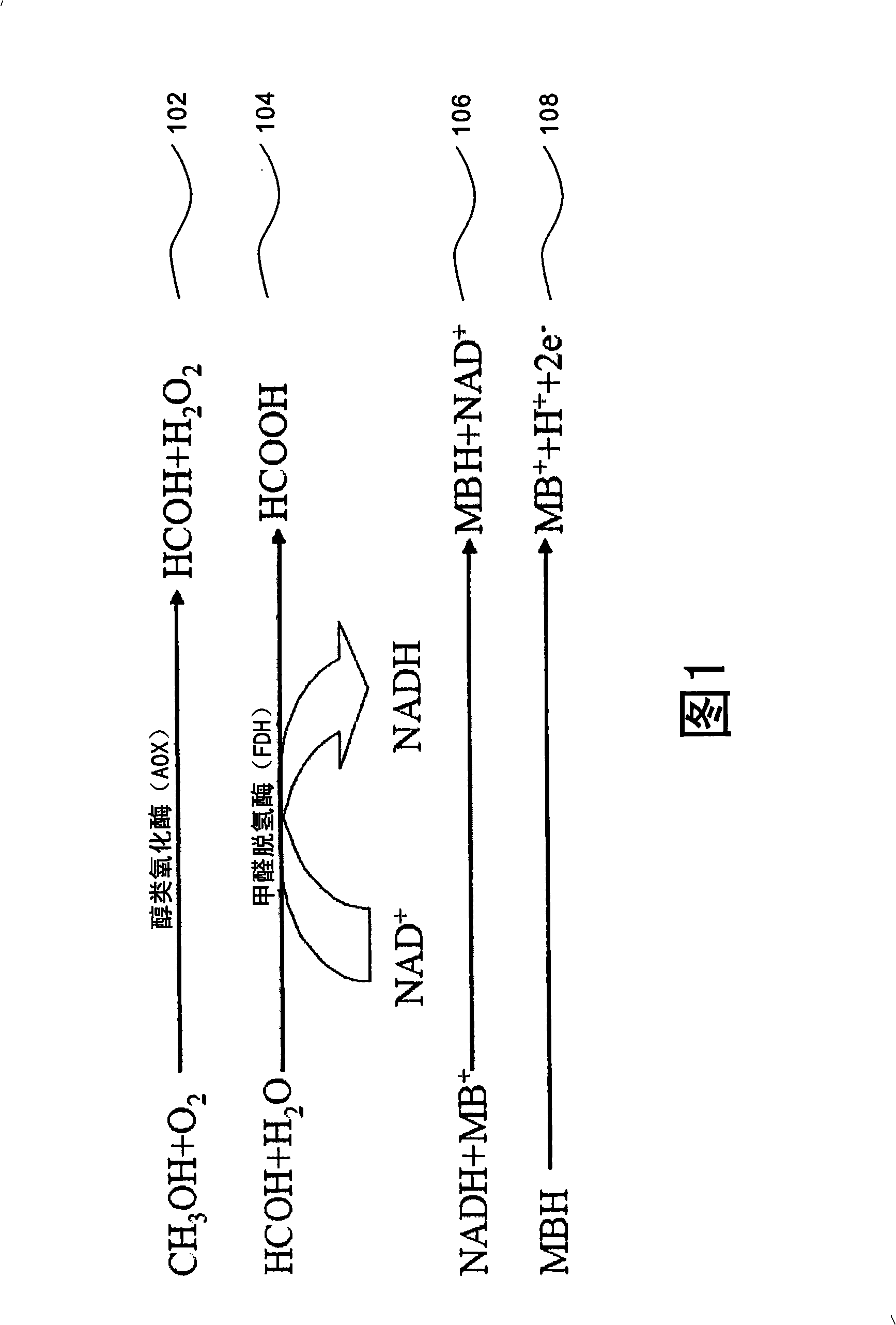 Method and apparatus for measuring methanol concentration in alcohols solution