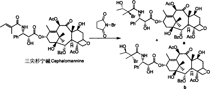 Method for separating and preparing paclitaxel