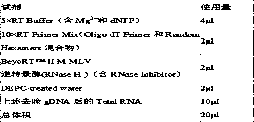 Biomarker long-chain non-coding RNA LINC01728 and kit for predicting prognosis of colon cancer