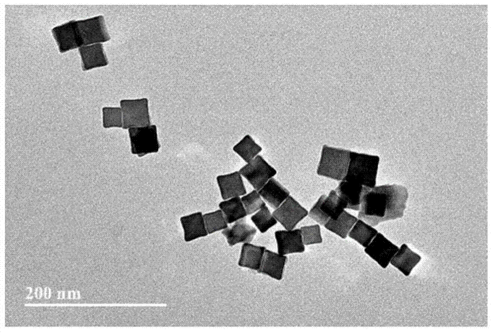 Palladium nanoparticles and preparation method thereof