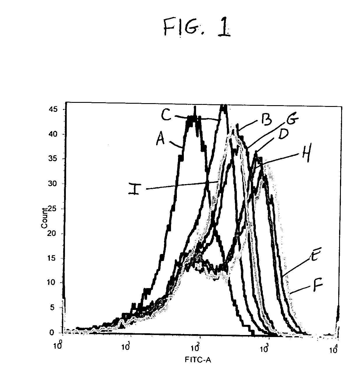 Polyomavirus cellular epitopes and uses therefor