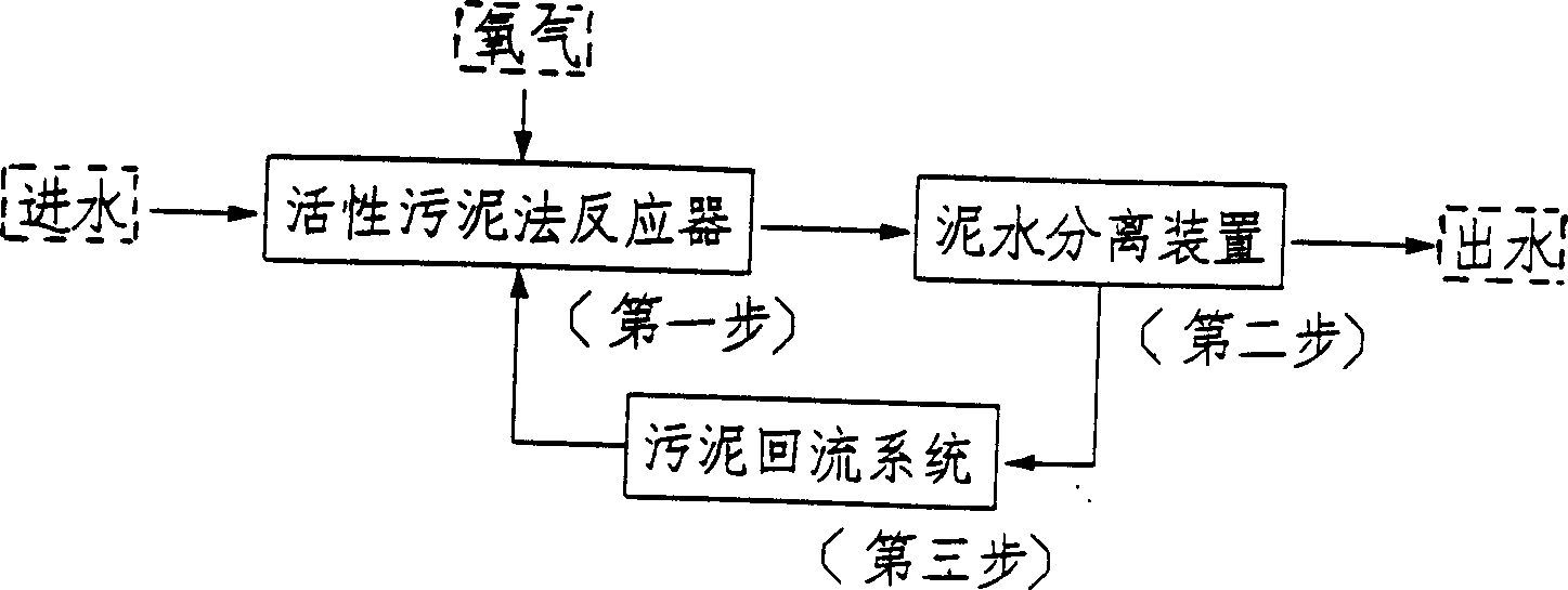 Biochemical reactor for treating sewage